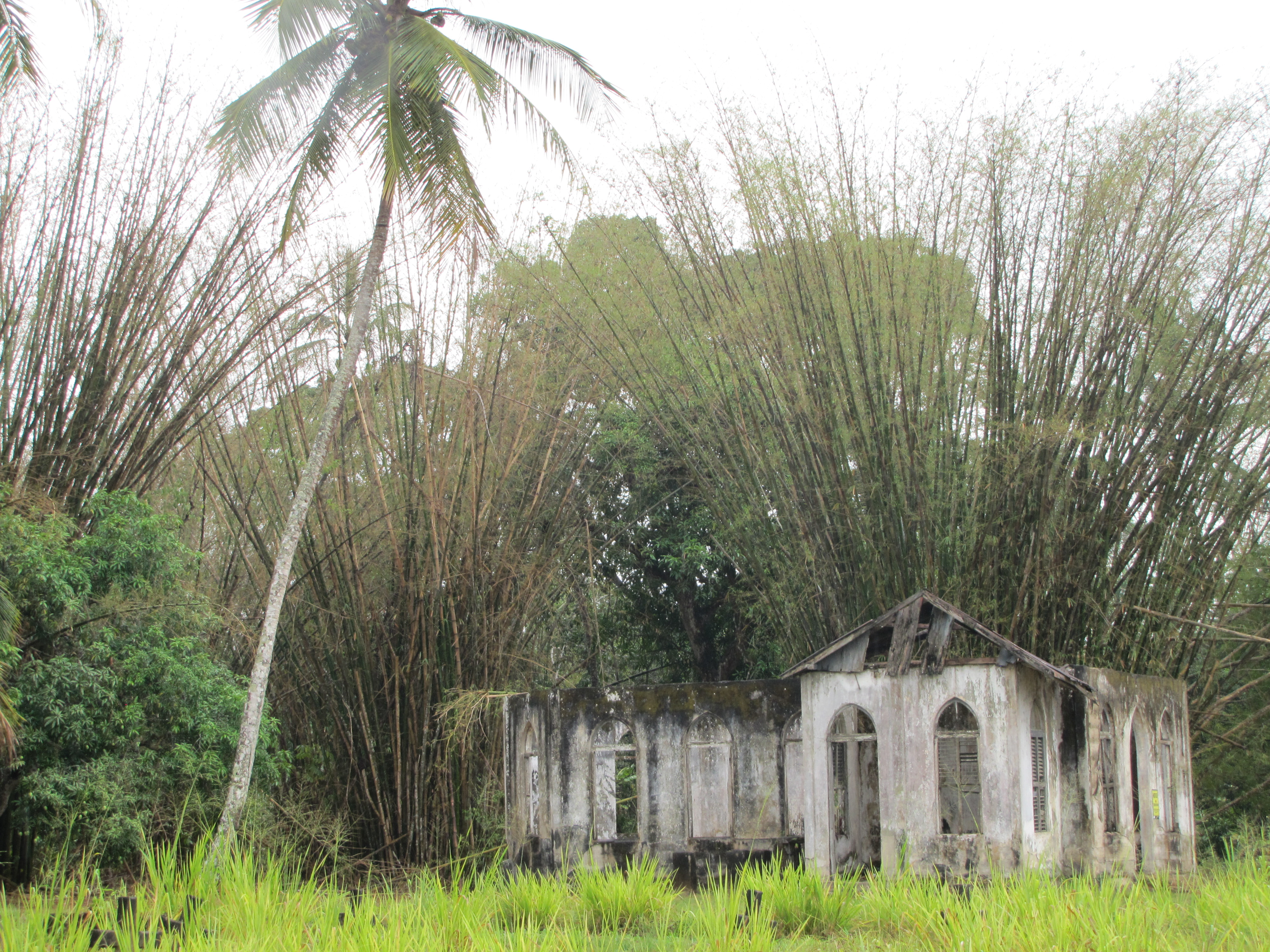 Welcome to the Island – Trinidad