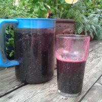 Spirulina, Beet & Raw Protein Smoothie