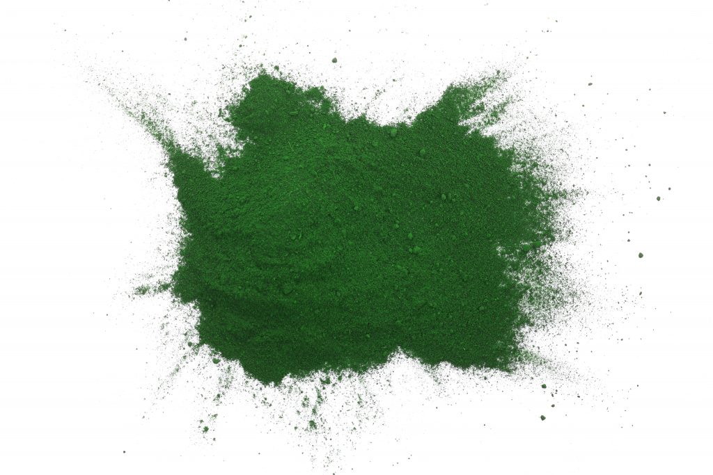 Spirulina powder - superfood