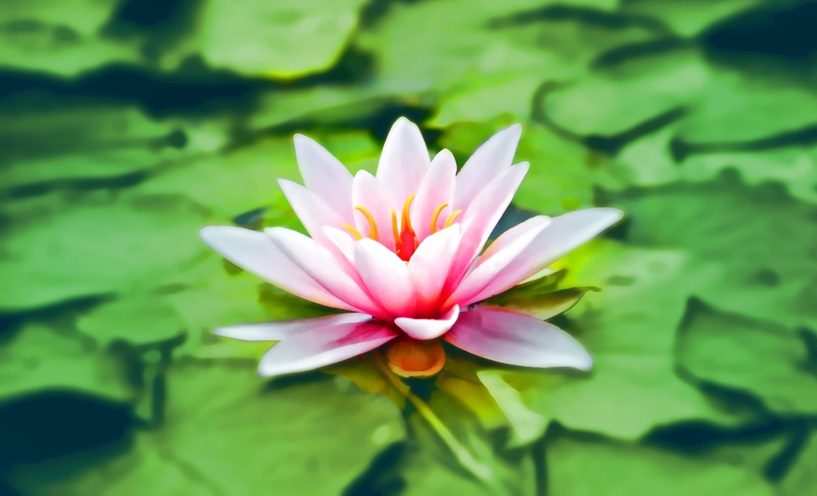 7 Chakras and Body Health