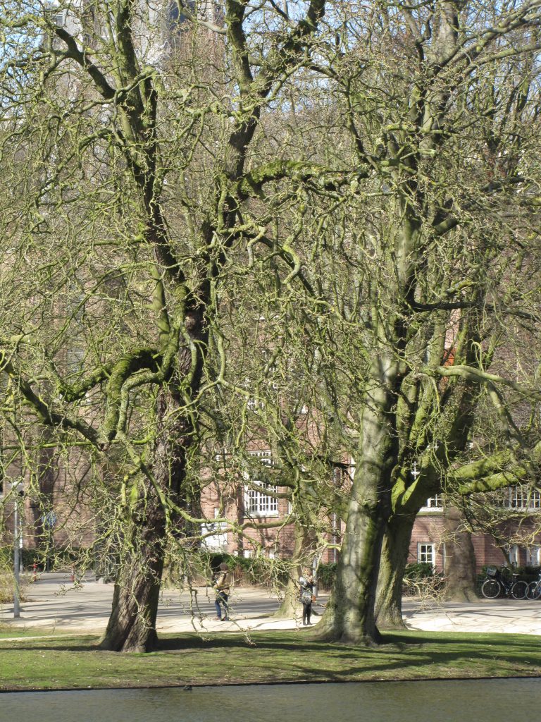 Vondelpark