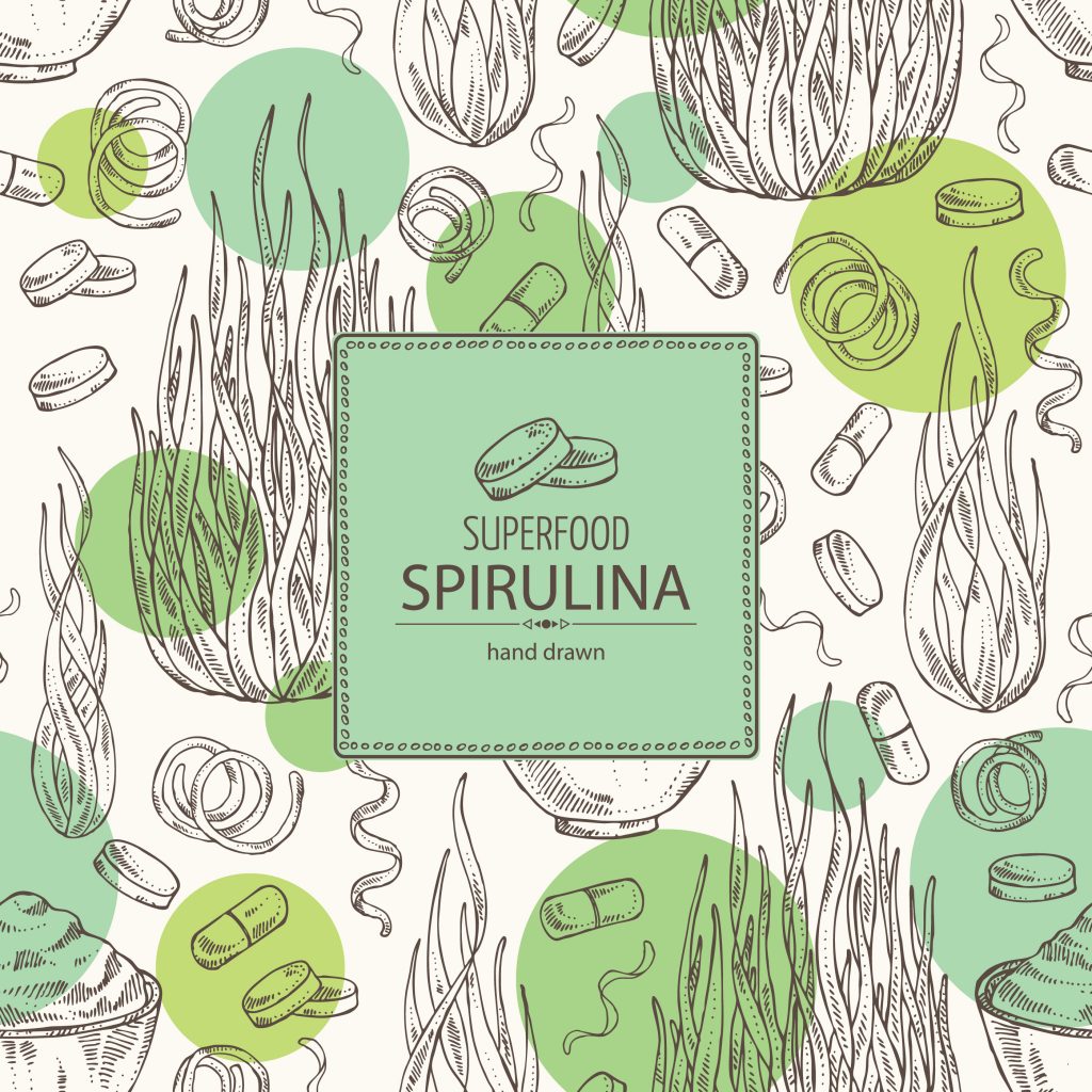 Spirulina Drawing